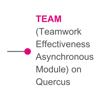 TEAM (Teamwork Effectiveness Asynchronous Module) on Quercus