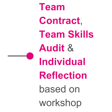 Team contract, team skills audit and individual reflection based on workshop