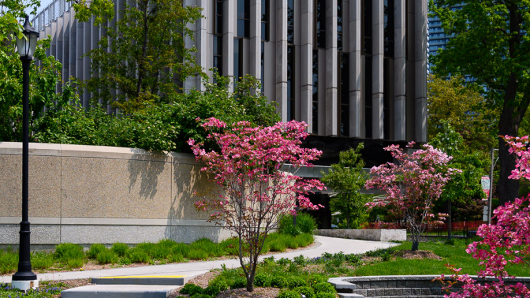 picture of U of T campus